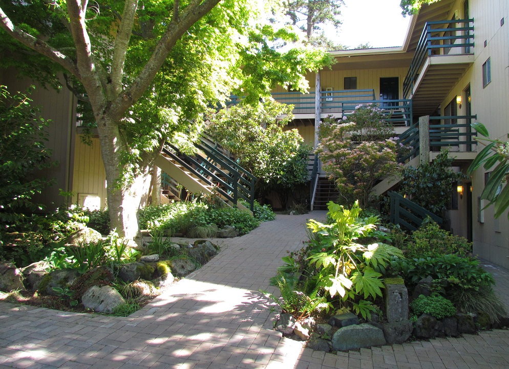 Courtyard 2011 Spring R
