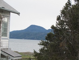 RDTH Peek-a-boo View