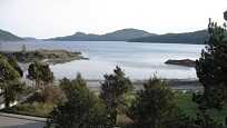 R View