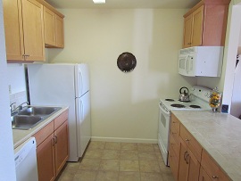REWV Kitchen 2